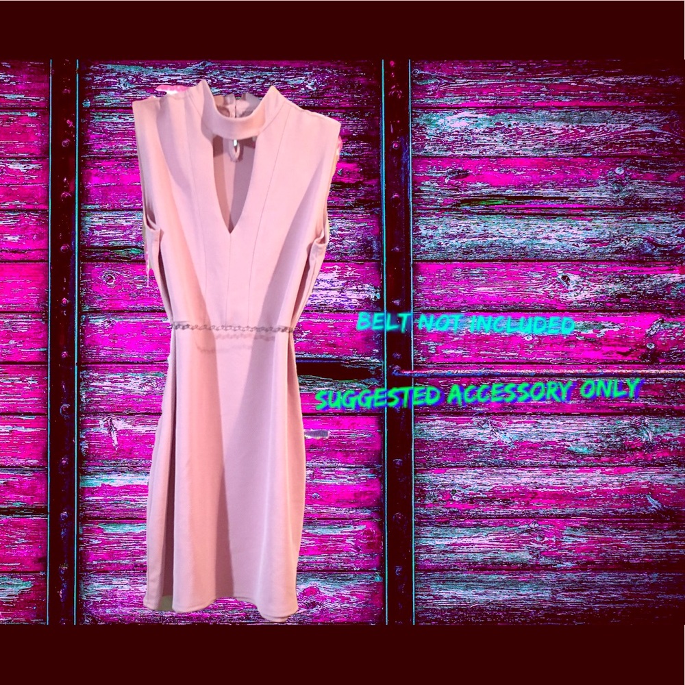 NWOT Dress